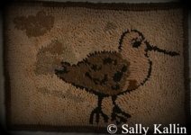 Pine Island Primitives